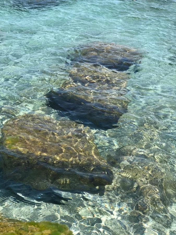 Appartamento Sylvabelle Gigaro La Croix-Valmer Esterno foto